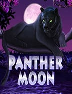 เล่น เกม ฟรี ได้ เงิน จริง: วิธีเล่นอย่างมือโปร